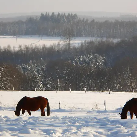 Le Bien-aller Des Perets 3*